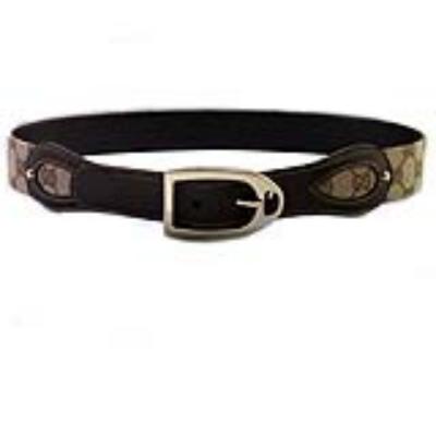 Gucci Belts-169